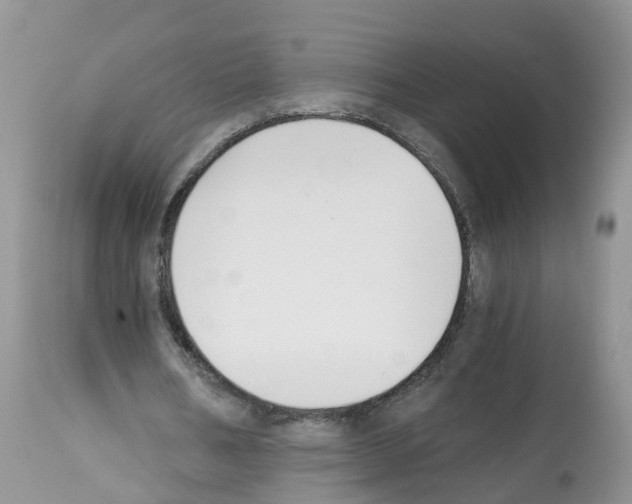 X0000112500578200909281159