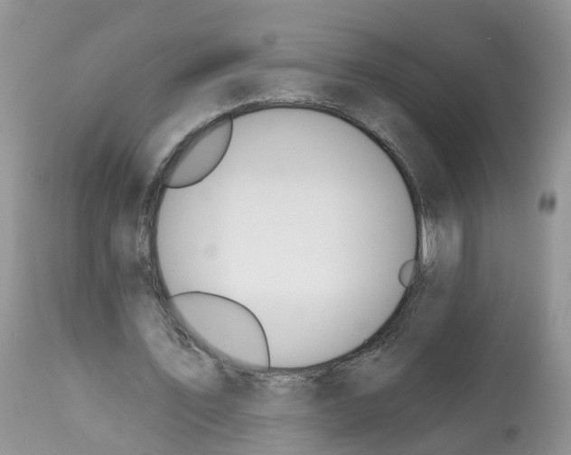 X0000112500579200909281159