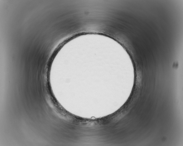 X0000112500580200909281159