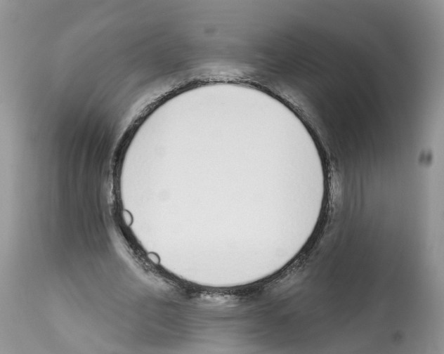 X0000112500582200909281159