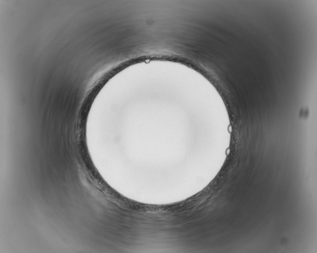 X0000112500583200909281159