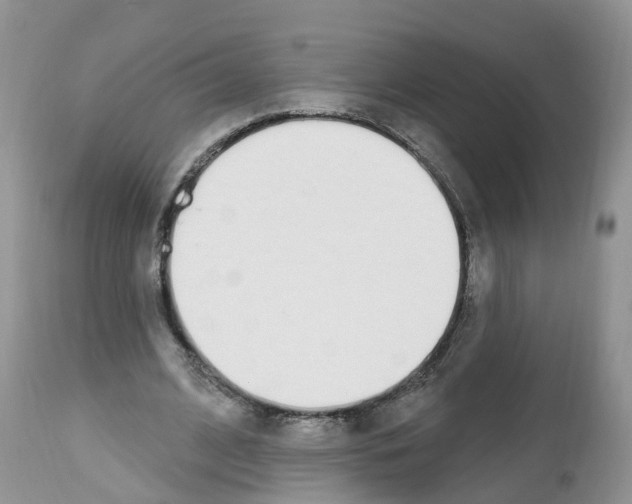 X0000112500584200909281159