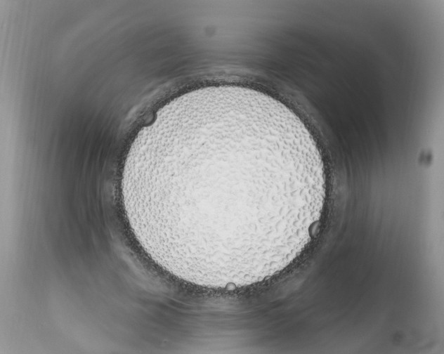 X0000112500585200909281159