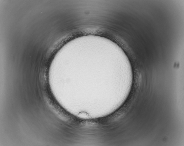 X0000112500590200909281159