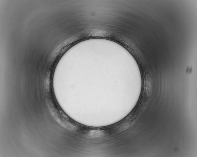 X0000112500591200909281159