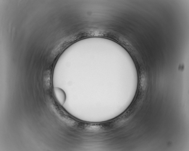 X0000112500594200909281159