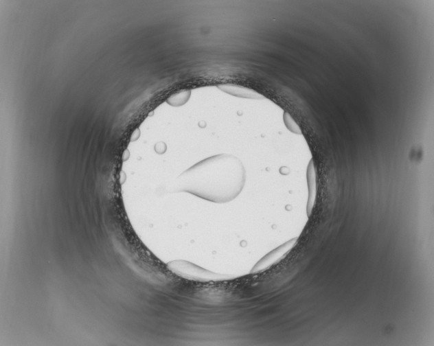 X0000112500596200909281159