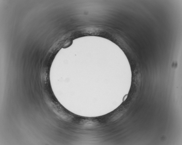 X0000112500597200909281159