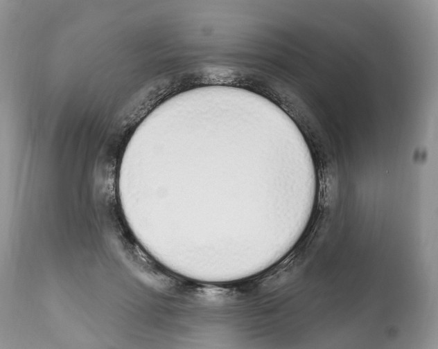 X0000112500598200909281159