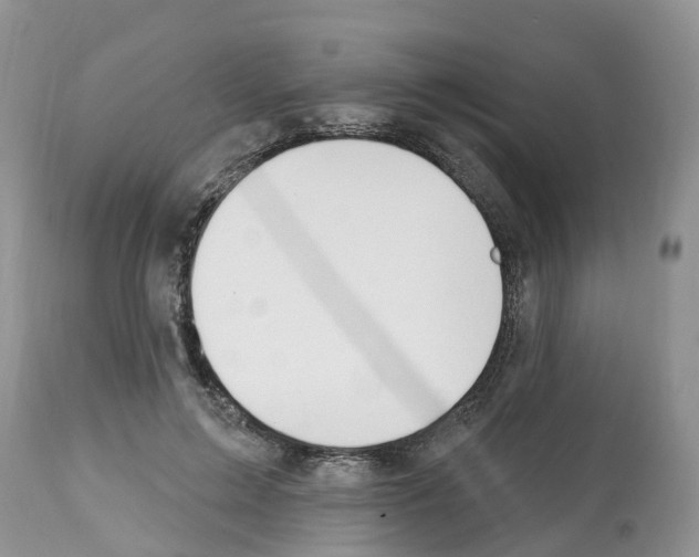 X0000112500599200909281159