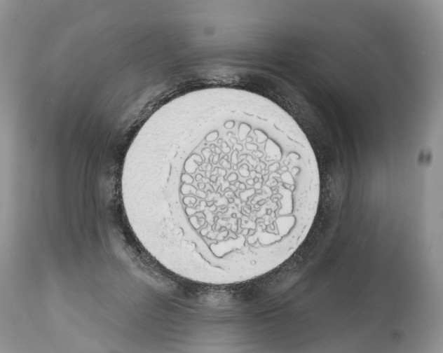 X0000112500600200909281159