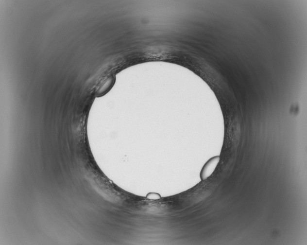 X0000112500601200909281159