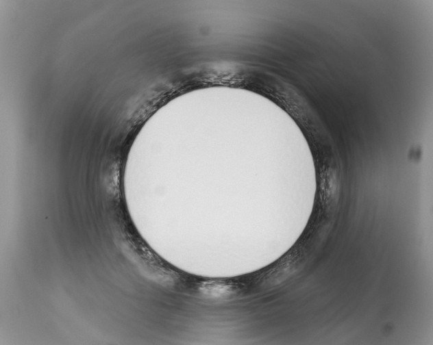 X0000112500602200909281159