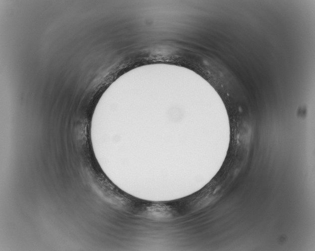 X0000112500603200909281159