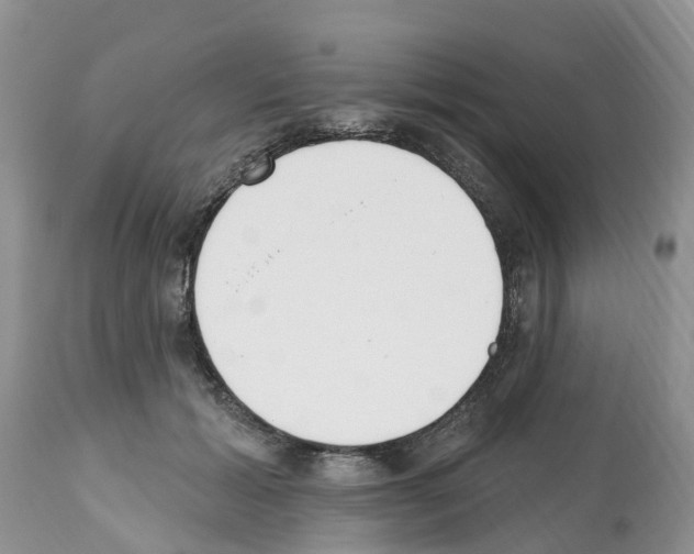 X0000112500605200909281159