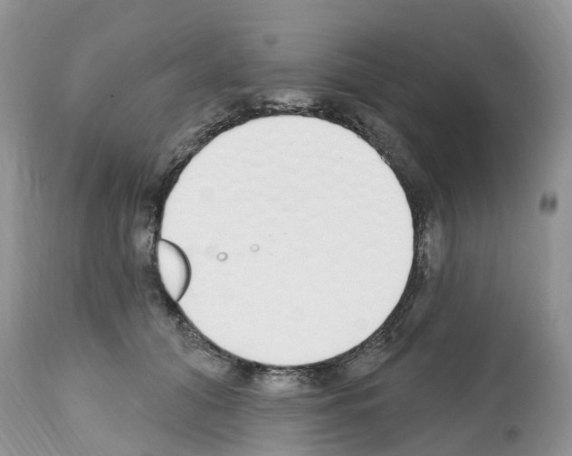 X0000112500608200909281159