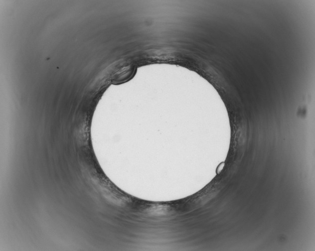 X0000112500609200909281159