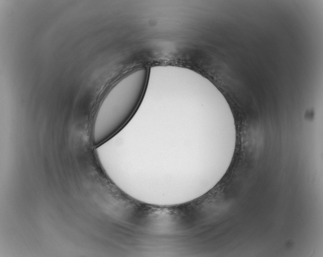 X0000112500611200909281159