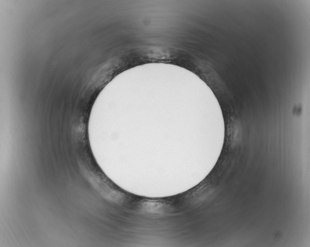 X0000112500614200909281159