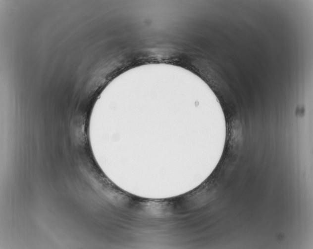 X0000112500615200909281159