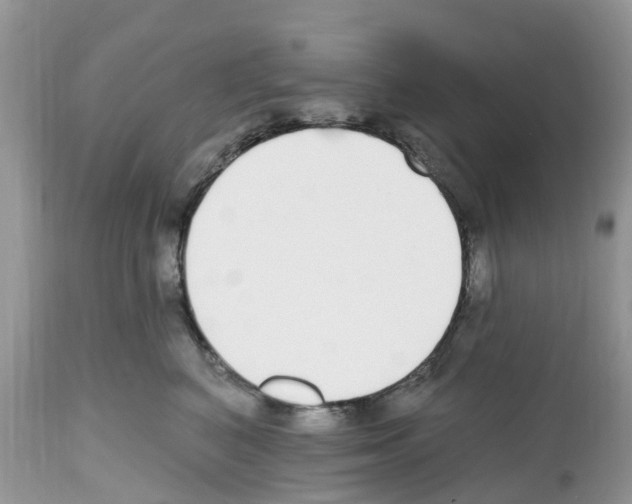 X0000112500616200909281159