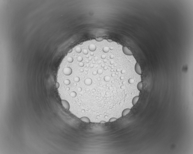 X0000112500618200909281159