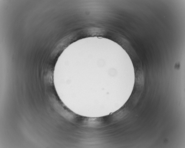 X0000112500622200909281159