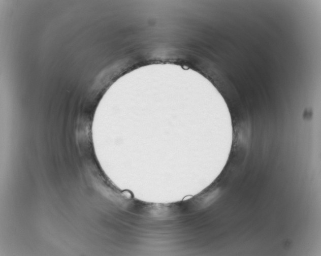 X0000112500623200909281159