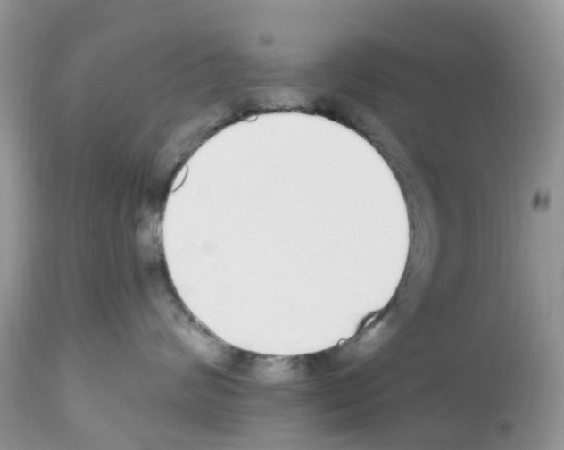 X0000112500624200909281159