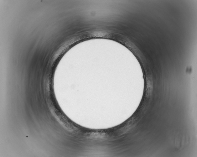 X0000112500626200909281158