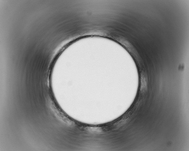 X0000112500628200909281158