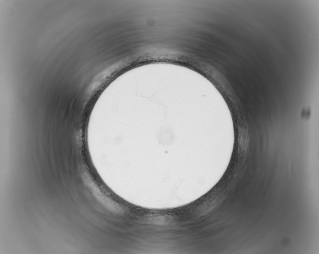 X0000112500629200909281158