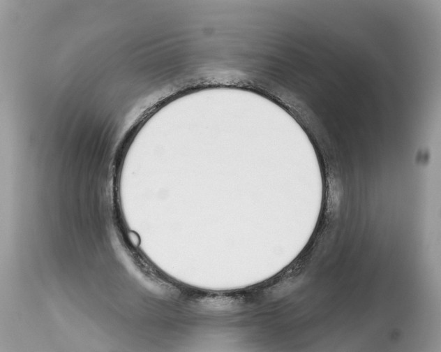 X0000112500630200909281158