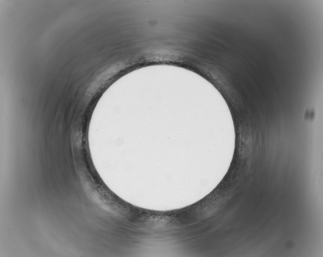 X0000112500631200909281158