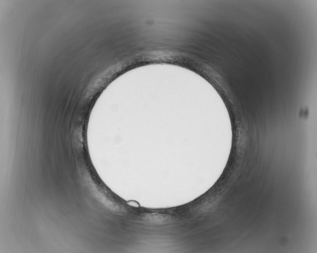 X0000112500633200909281158