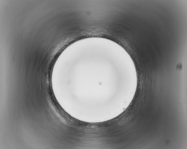 X0000112500634200909281158