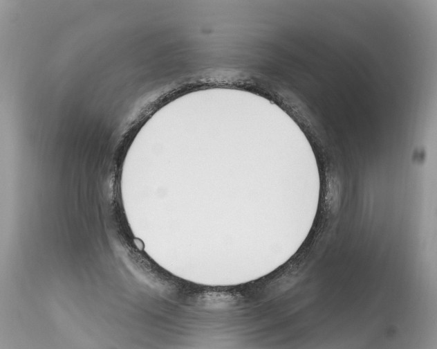 X0000112500636200909281158