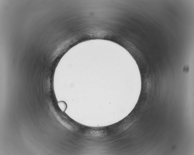 X0000112500638200909281158