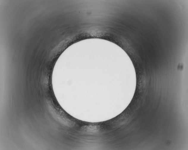 X0000112500639200909281158