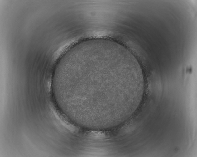 X0000112500640200909281158