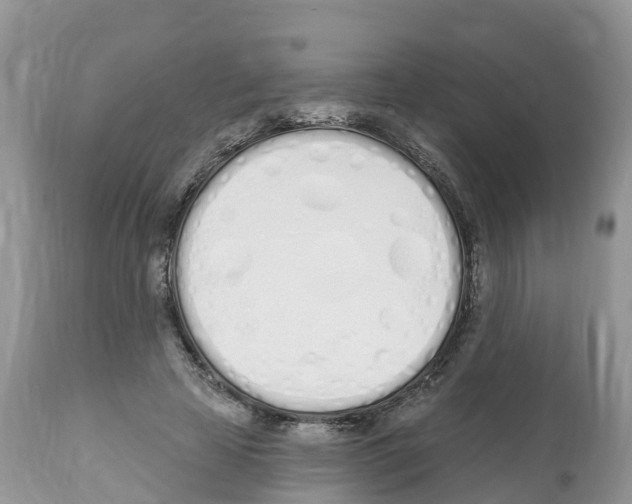 X0000112500641200909281158