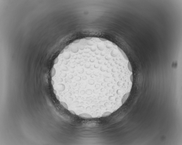 X0000112500643200909281158