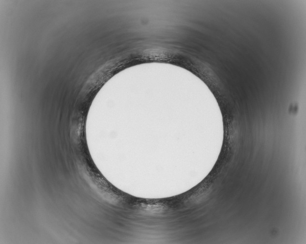 X0000112500645200909281158