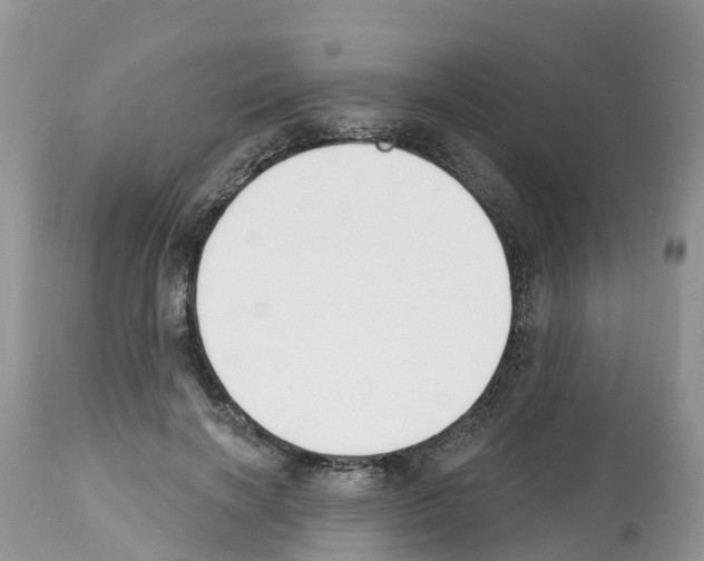 X0000112500646200909281158