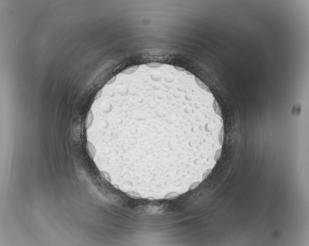 X0000112500647200909281158