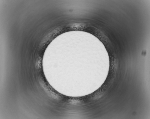 X0000112500649200909281158