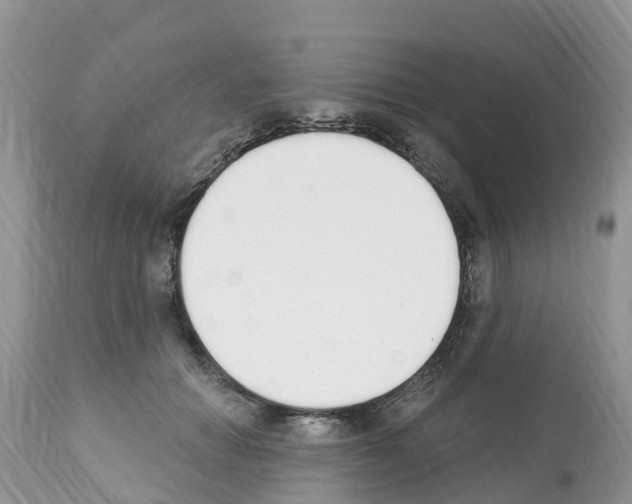 X0000112500654200909281158