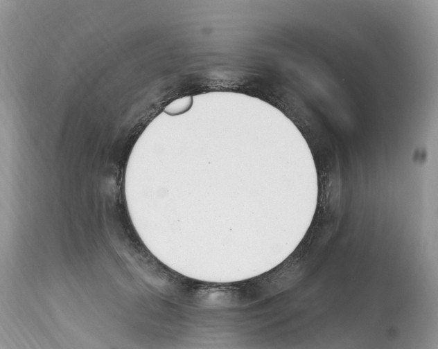 X0000112500655200909281158