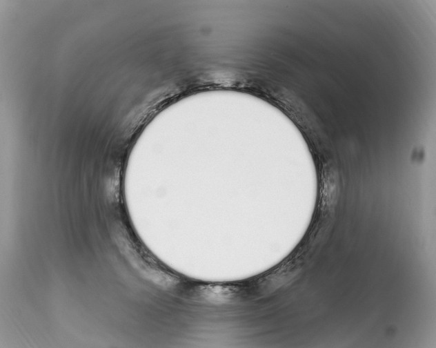 X0000112500656200909281158