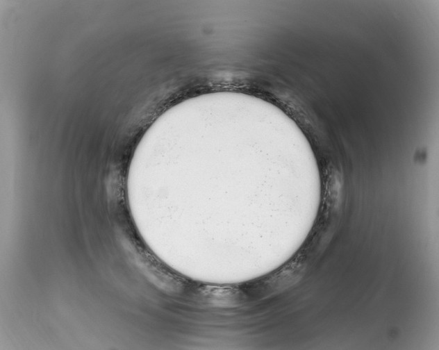 X0000112500659200909281158